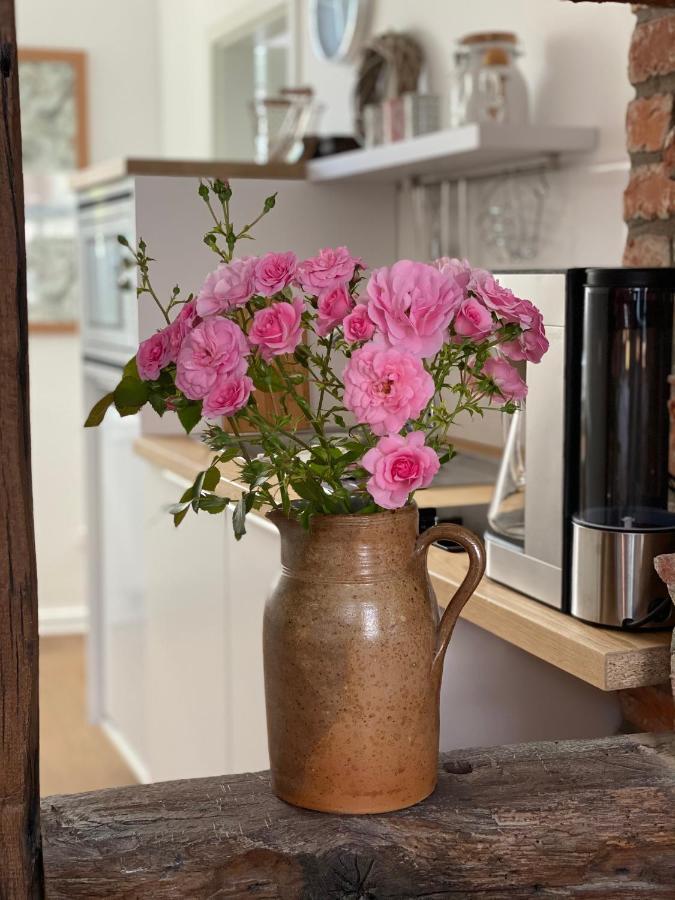 Altstadt Fereienwohnung Hameln Hamelin Bagian luar foto