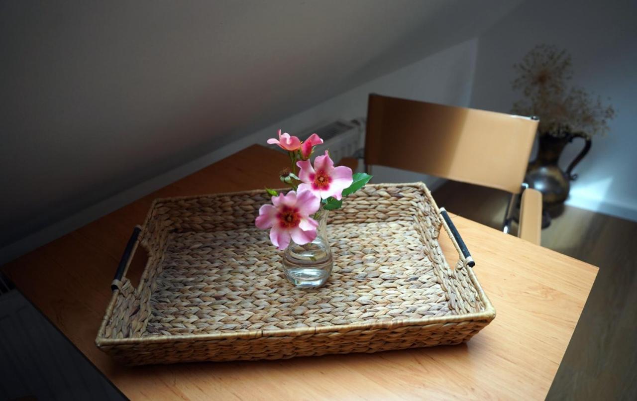 Altstadt Fereienwohnung Hameln Hamelin Bagian luar foto